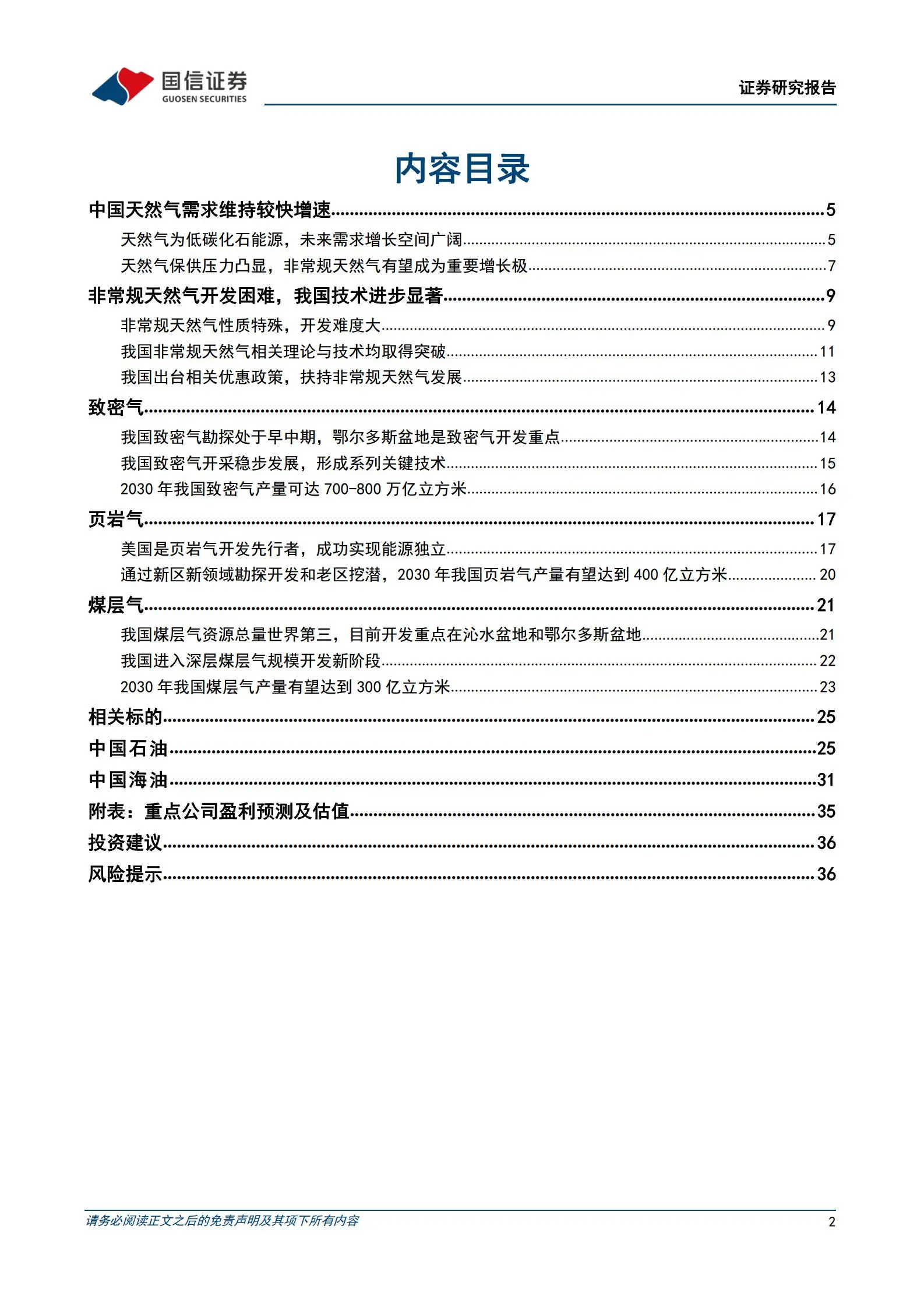 非常规天然气行业专题：非常规天然气成为重要增量，龙头企业有望充分受益.pdf第2页